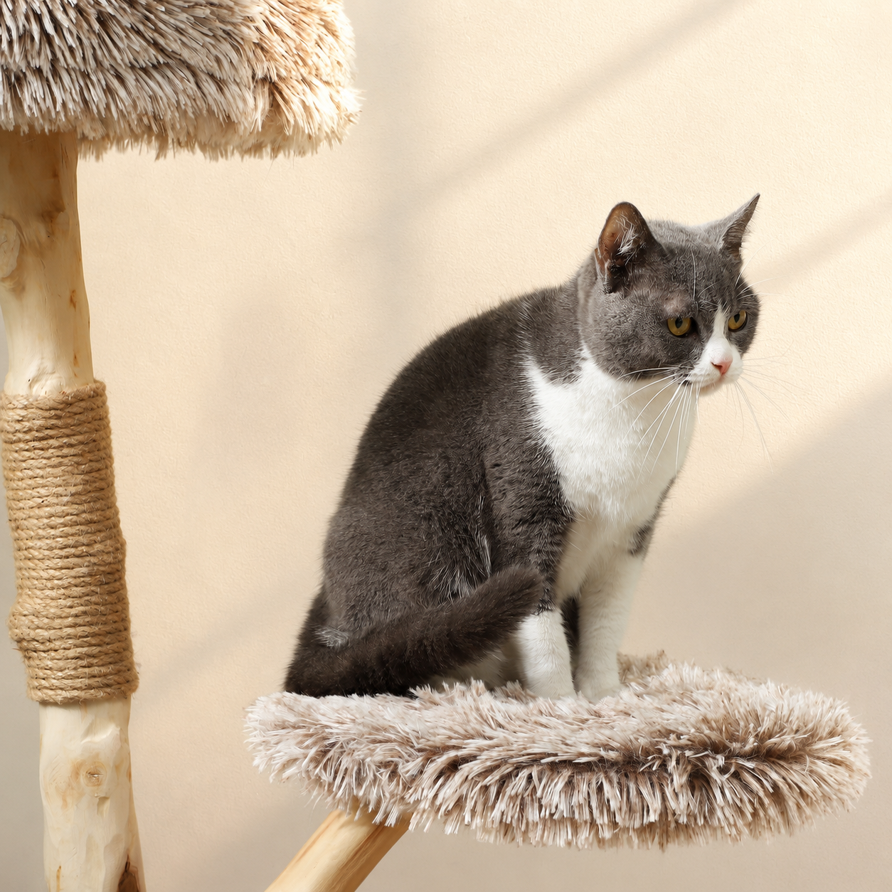 Modern Cat Tree with Wooden Scratching Post, Plush Perches & Hanging Rope Toy