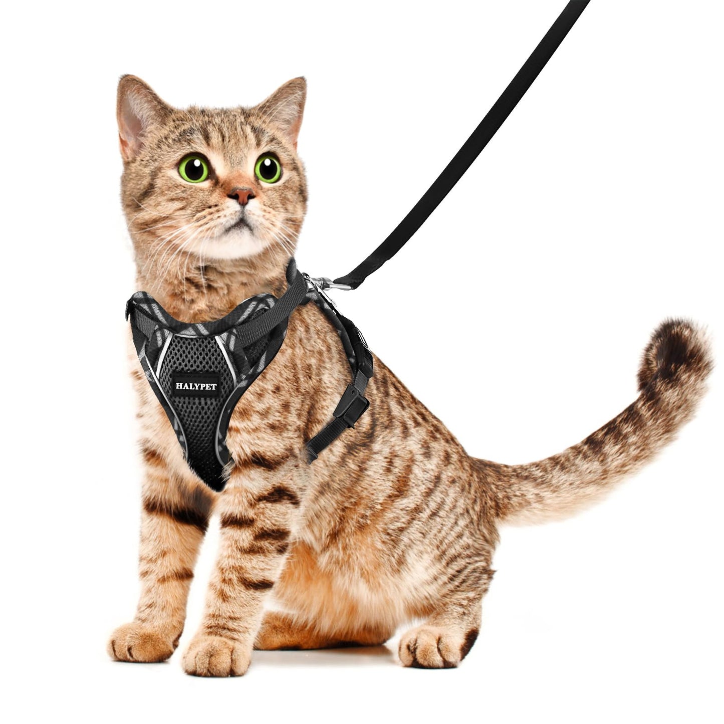 Halypet Cat Harness and Leash Set [H500 Pro Escape Proof Cat Harness for Walking Adjustable Breathable Soft Travel Cat Leash Reflective Strips Kitten Harness